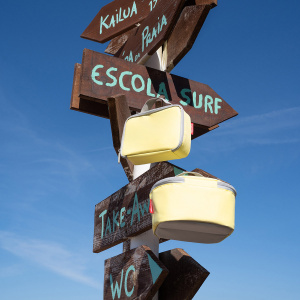 Box na jedlo Reisenthel Thermocase Lemon Ice 8